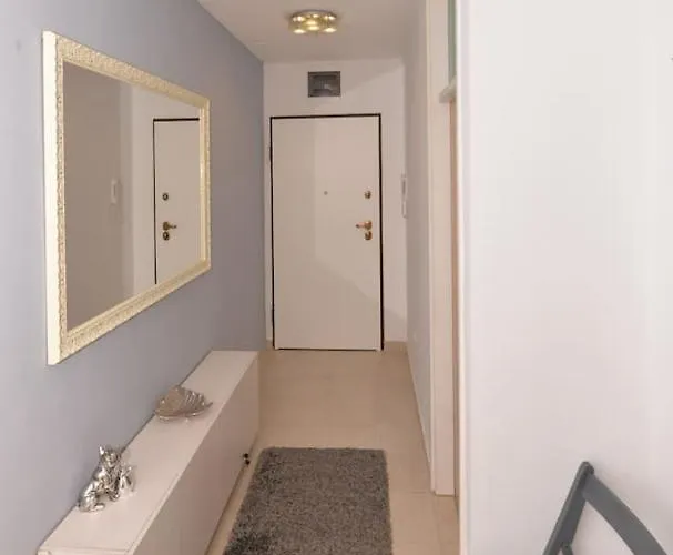 Yellow Turtle マカルスカ