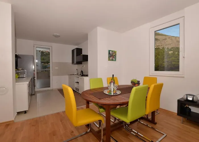 Yellow Turtle マカルスカ