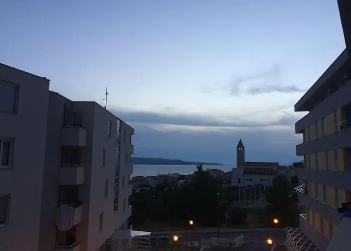 Yellow Turtle Makarska