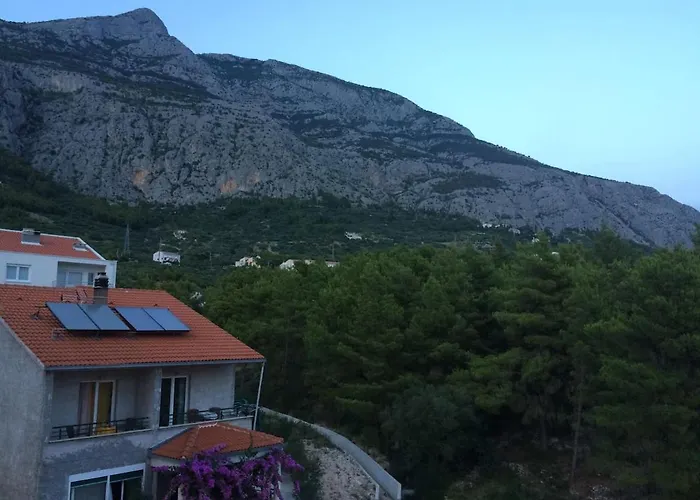 דירה Yellow Turtle